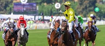 Melbourne Cup 2023 Horses List Of 2023