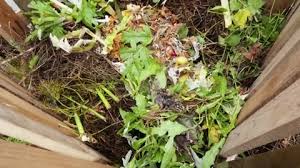 Compost Food Waste Stock Footage