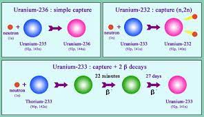 Uranium Isotopes Laradioactivite Com