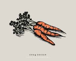 Carrots Vintage Style Hand Drawn