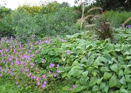 The Secrets Of Seaside Gardening 27 East