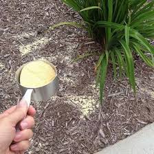9 And Natural Ways To Kill Weeds