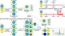 single shot polarimetry of vector beams