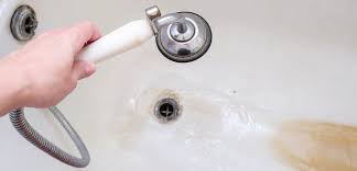 A Shower Drain With Standing Water