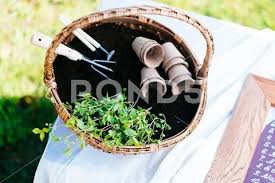 Gardening Tools Seeds Plants And Soil