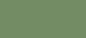 Hex Color 738c64 Color Name