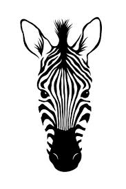 Line Drawing Of Zebra Head Vector