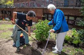 Nycha Celebrates New Community Garden