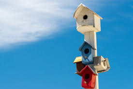 Bird Houses Images Browse 1 646