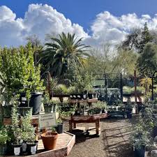The Ruth Bancroft Garden Nursery