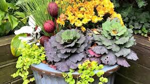 Flip Your Summer Planters To Fall With