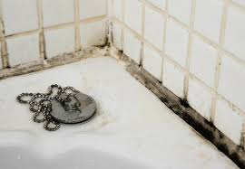 Black Mold In The Bathroom
