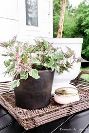 Diy Black Aged Terra Cotta Pots