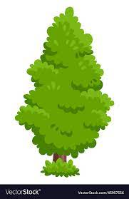 Evergreen Tree Green Conifer Icon