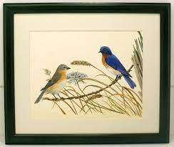 Audubon Bluebird Bird Print 10x12