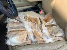 Set Of 2 Fur Car Seat Cover Coyote Fur
