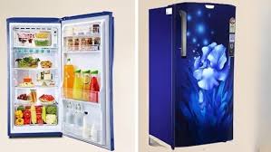 10 Best Fridge Brands With The Most