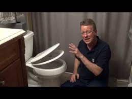Toilet Seat Fix For The Bemis Model