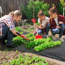 164ft Weed Barrier Landscape Fabric