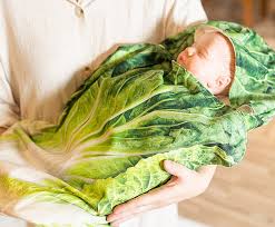 Cabbage Baby Swaddler Gift Set With