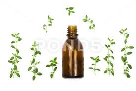 Essential Oil With Herbs Thyme Isolated