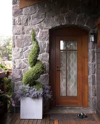 Patio Plants Potted Plants For Winter