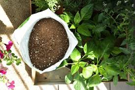 Garden Soil Vs Potting Soil What S