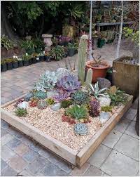 Mini Cactus Garden Succulent Landscaping