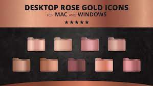 Rose Gold Metallic Desktop Folder Icon