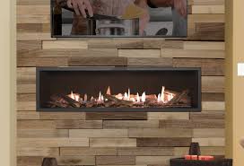 L2 Direct Vent Fireplace Anderson