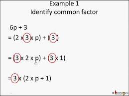 Factorization Of Algebraic Expression