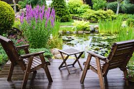 Garden Pond Your Guide To Creating One