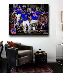 Chicago Cubs World Series Championship