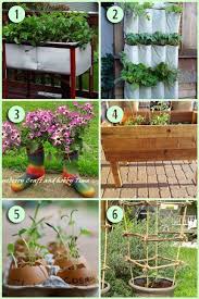 6 Creative Gardening Projects Garden