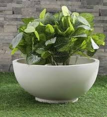 Polymer White Bowl Planter Round At Rs