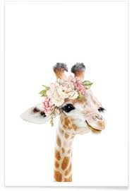 Fl Baby Giraffe Poster Juniqe