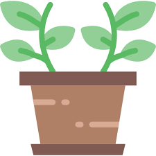 Plant Basic Miscellany Flat Icon