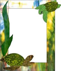 Sea Turtles Picture Frame Best