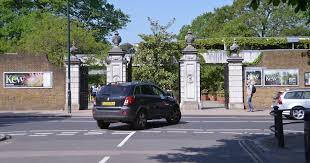 Wonderful World Of Botanical At Kew