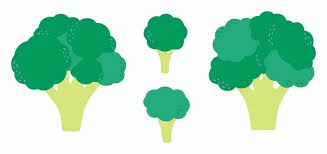 Free Vectors Broccoli Icon 2