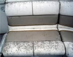 Remove Mold Mildew From Boat Seats