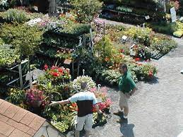 Flagg S Garden Center Landscaping