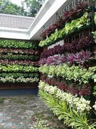 Vertical Garden Wall For Outdoors Decor