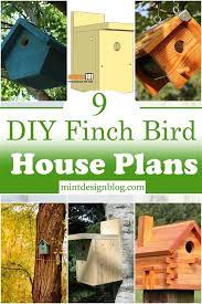 9 Diy Finch Bird House Plans To Attract