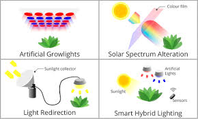 Controlled Environment Agriculture