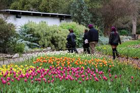 Extended Hours Begin Descanso Gardens