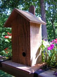 Wren Bird House Plans Craftybirds Com