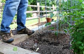 Make The Ultimate Tomato Cage