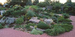 Rock Garden Primer Finegardening