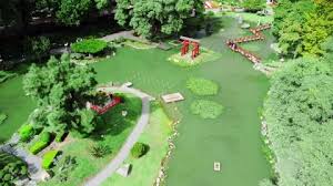 Zen Garden Japan Stock Footage